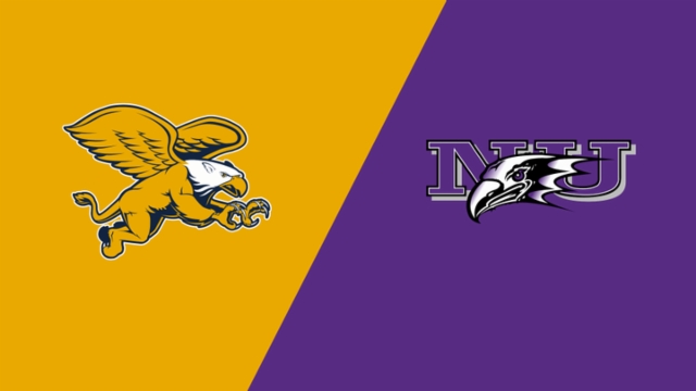 及国际交流 及国际交流