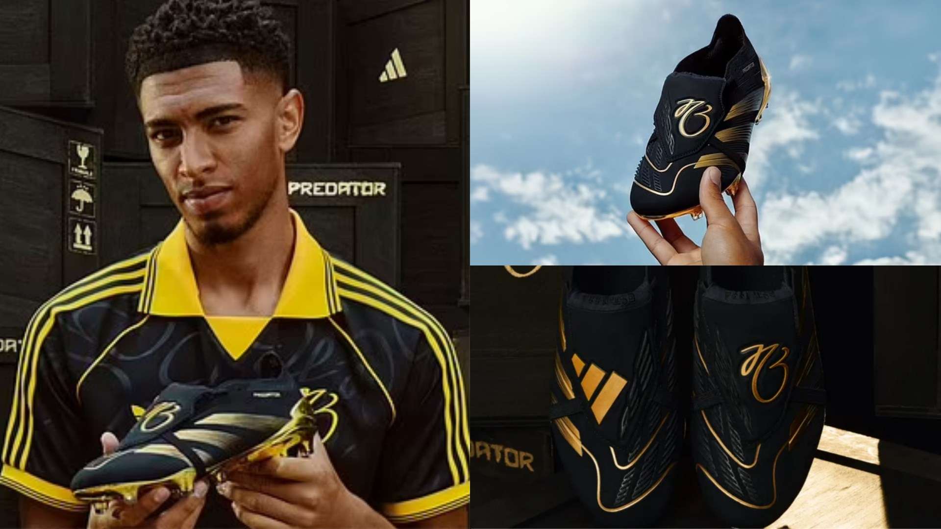 的一部分 的一部分