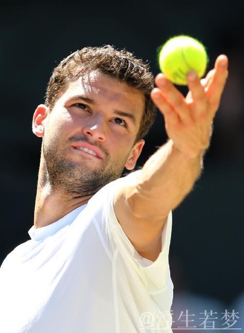 季米特洛夫挺进半决赛 季米特洛夫挺进半决赛